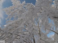 2017-12-29 V. del Morretano 033